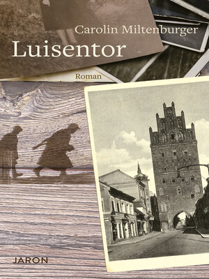 cover image of Luisentor